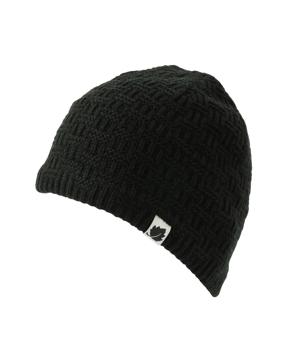 Bonnet Homme ACCESS BEANIE Gris