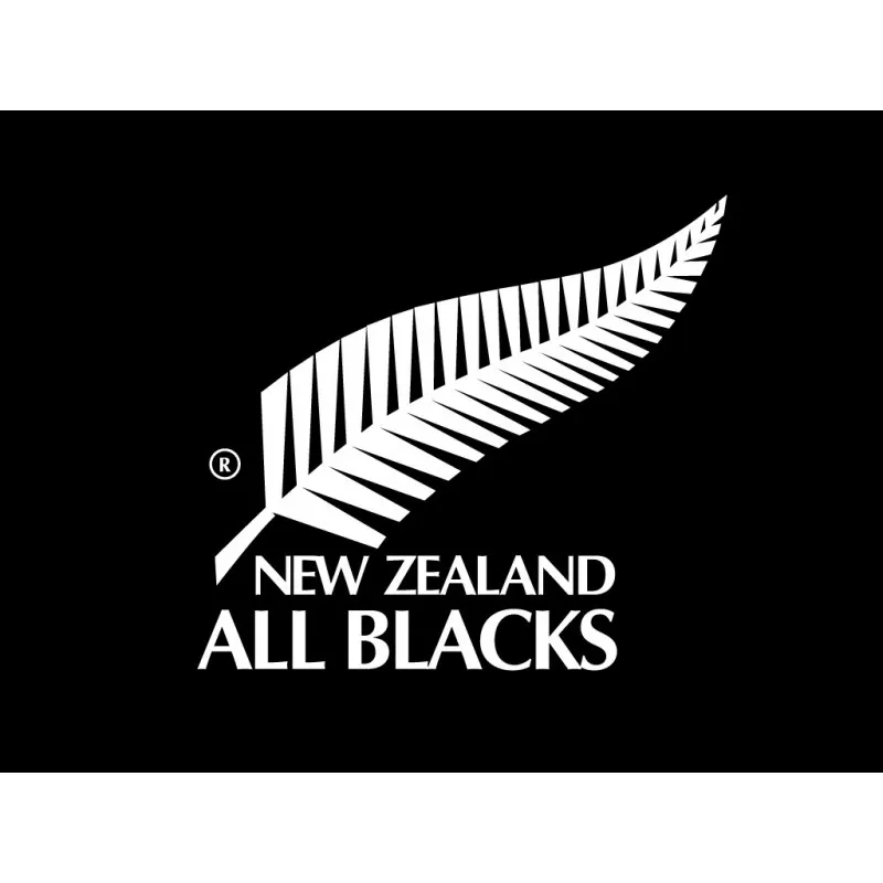 Polo rugby All Blacks rugby 2022-2023  Adidas